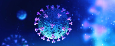 vector illustration of a virus